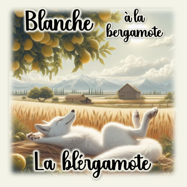 Blanche - La blérgamote